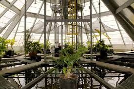 Regenitech and the Sustainable Powerhouse